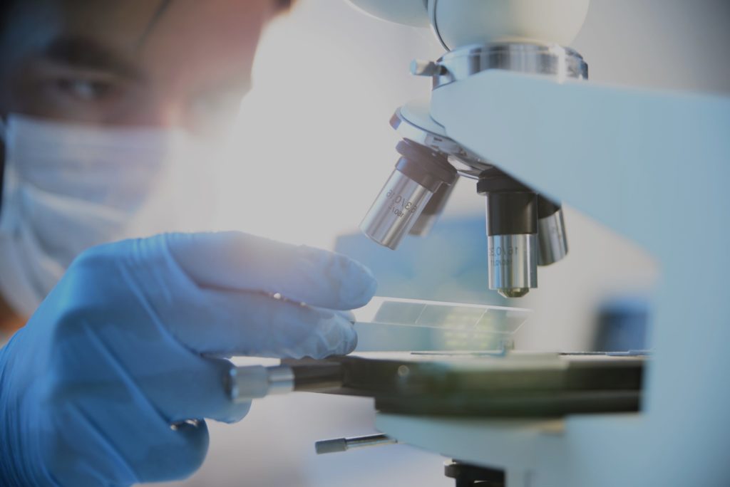 Microscope  Optique